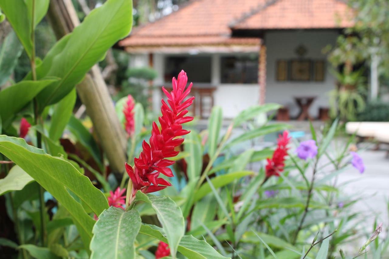 Villa Sindu Ubud Екстер'єр фото