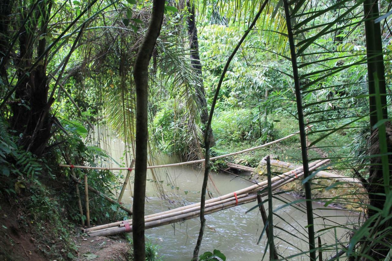 Villa Sindu Ubud Екстер'єр фото